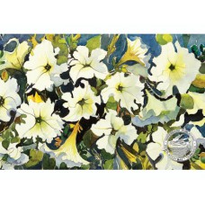 WATERMARK GREETING CARD WHITE PETUNIAS